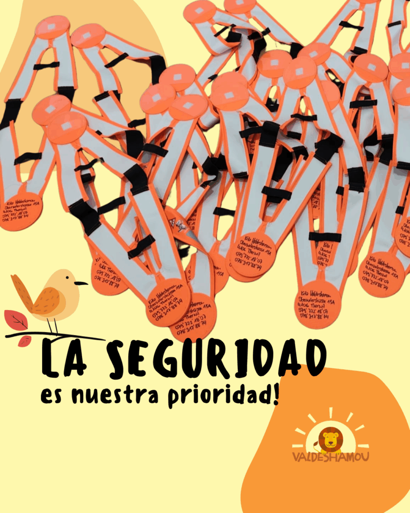 Seguridad Kinder ValdeShamou