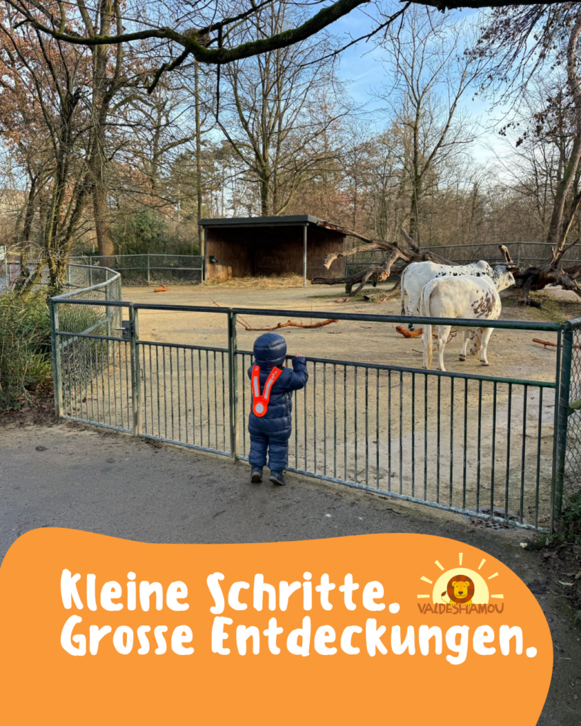 Zoo Basel